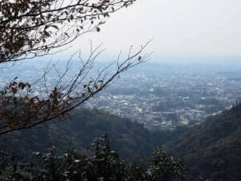 望海展望台から海が見える