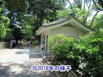 ⑮2018年の様子