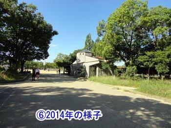⑥2014年の様子