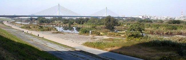 整備された河川敷