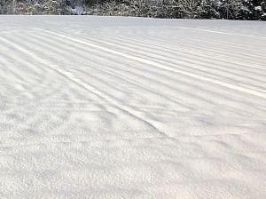積もって少し時間がたった雪